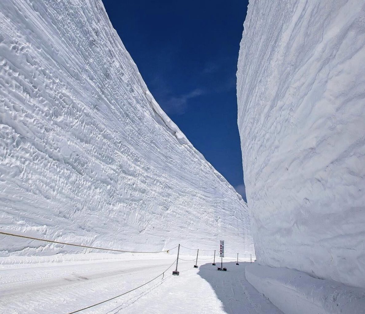 Japanese Ski Resort Reports 282" Base